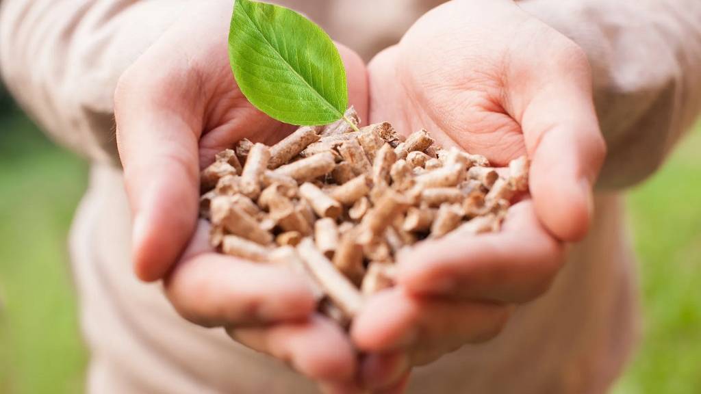 Incentivi per impianti a biomassa Lombardia